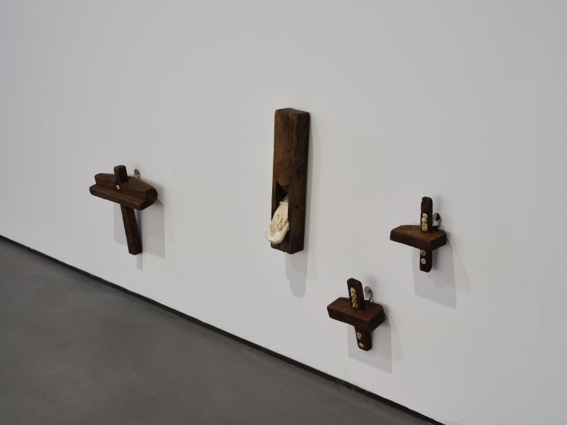 Festival Cat got your tongue?, ··· series